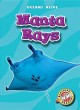 Go to record Manta rays
