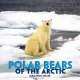 Go to record Polar bears of the Arctic