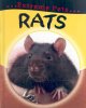 Go to record Rats