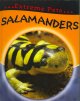 Go to record Salamanders