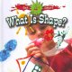 Go to record What is shape?