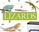 Go to record Lizards