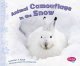 Go to record Animal camouflage in the snow