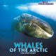 Go to record Whales of the Arctic