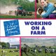 Go to record Working on a farm