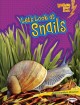 Go to record Let's Look at snails