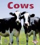 Go to record Cows