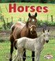 Go to record Horses