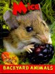 Go to record Mice