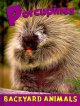 Go to record Porcupines
