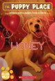 Go to record Honey