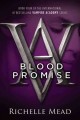 Go to record Blood promise
