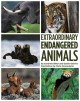Go to record Extraordinary endangered animals