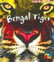 Go to record Bengal tiger