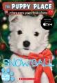 Go to record Snowball