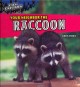 Go to record Your neighbor the raccoon