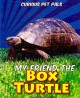 Go to record My friend the box turtle