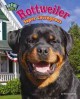 Go to record Rottweiler : super courageous