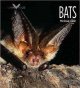 Go to record Bats