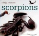 Go to record Scorpions