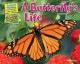 Go to record A butterfly's life