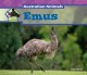 Go to record Emus