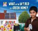 Go to record What in the world is a green home?