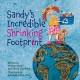 Go to record Sandy's incredible shrinking footpr[i]nt