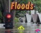 Go to record Floods