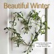 Go to record Beautiful winter