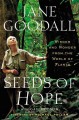 Go to record Seeds of hope : wisdom and wonder from the world of plants
