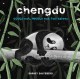 Go to record Chengdu could not, would not, fall asleep