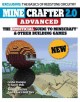 Go to record Minecrafter 2.0 advanced