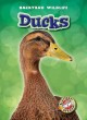 Go to record Ducks