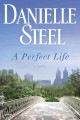 Go to record A perfect life : a novel