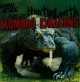 Go to record Hunting with Komodo dragons