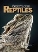 Go to record Reptiles