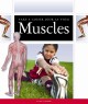 Go to record Take a closer look at your muscles