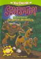 Go to record The mystery of the maze monster