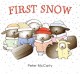Go to record First snow
