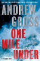 Go to record One mile under : a Ty Hauck novel