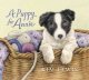 Go to record A puppy for Annie