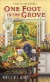 Go to record One foot in the grove