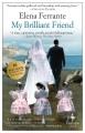 Go to record My brilliant friend. Book one, Childhood, adolescence