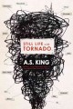 Go to record Still life with tornado