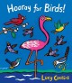 Go to record Hooray for birds!