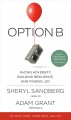 Go to record Option B : facing adversity, building resilience, and find...