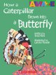 Go to record How a caterpillar grows into a butterfly