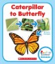 Go to record Caterpillar to butterfly