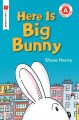 Go to record Here is Big Bunny